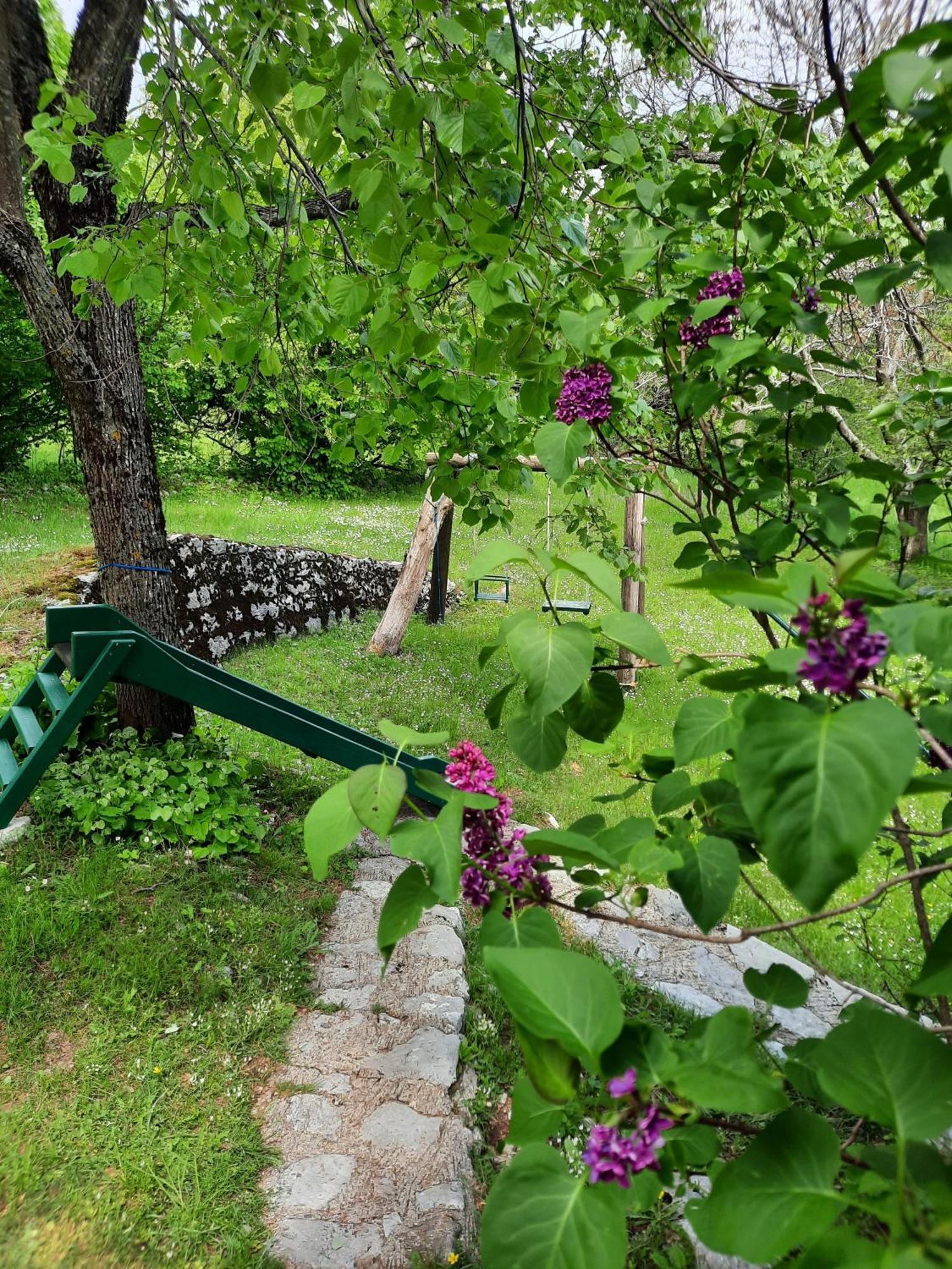 Lovcen4Me Villa Cetinje Exteriör bild